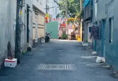 Bán nhà đường nguyễn văn Khôi, phường Thông Tây Hội, TP.HCM 9,9 tỷ... Bán nhà riêng tại Thông Tây Hội, Hồ Chí Minh 02