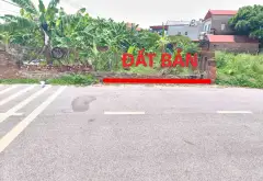 Lô đất trục chính kinh doanh tại thôn Lầy Đào viên Bắc Ninh... Bán đất tại Đào Viên, Bắc Ninh 01