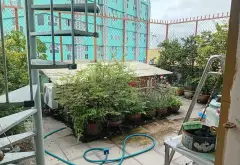 Nhà 5 tầng rộng rãi tại Tân Phú chuẩn sống hiện đại... Bán nhà riêng tại Tân Sơn Nhì, Hồ Chí Minh 15