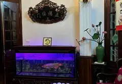 Biệt Thự 3 Mặt Thoáng Phường Ngọc Hà, Đẳng Cấp Chủ Sở Hữu... Bán nhà mặt phố tại Ngọc Hà, Hà Nội 07