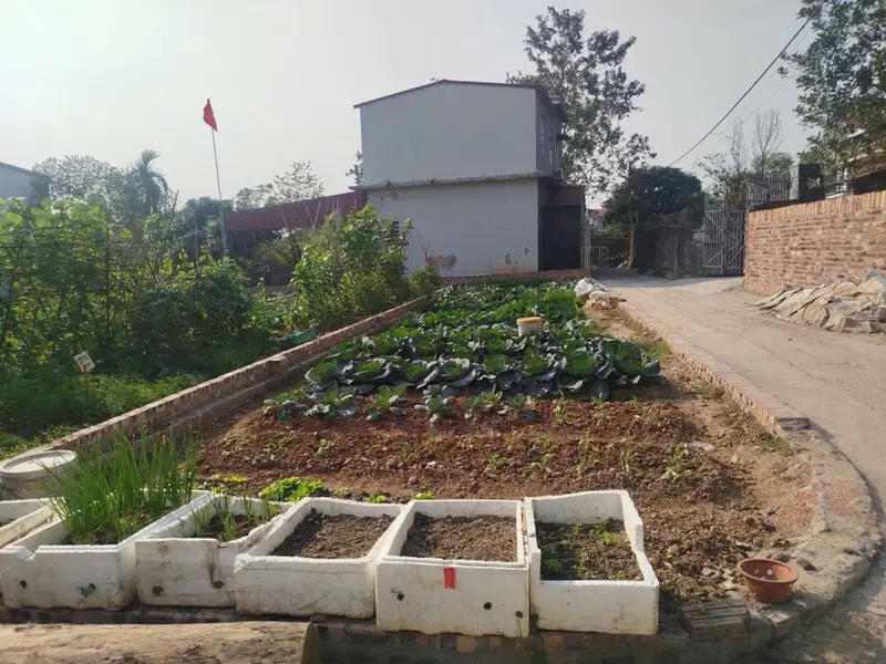 Bán đất 90m2 full thổ cư Trung Giã, mặt tiền 4,6m, đường 4m... Bán đất tại Trung Giã, Hà Nội 01