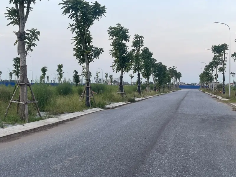 Bán lô đất TDC Khu B1 TDP Hải Phong vị trí đắc địa diện tích 99.4 m2... Bán đất tại Dương Kinh, Hải Phòng 01
