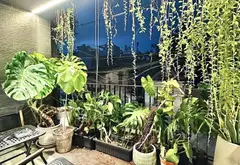 Bán nhà 6 tầng mặt tiền gần 12m khu Tân Sơn Nhì, giá 13.6 tỷ... Bán nhà riêng tại Tân Sơn Nhì, Hồ Chí Minh 03