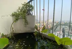 CĂN HỘ HẠNG SANG – 84M² – VIEW TRỌN HỒ TÂY – GIÁ 11,5 TỶ ❤️
📍 Khu đô thị Tây Hồ Tây – trục căn đẹp... Bán căn hộ chung cư tại Xuân Đỉnh, Hà Nội 14