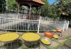 Bán Nhà Vườn Nghỉ Dưỡng Xã Bình Lợi, Bình Chánh, 1833m2, Giá Tốt... Bán nhà mặt phố tại Bình Lợi, Hồ Chí Minh 05