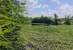 Sở hữu đất rộng mặt tiền lớn tại Cây Bàng, giá tốt... Bán đất tại Tân Nhựt, Hồ Chí Minh 10