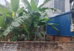 Chốt ngay lô đất Đan Tảo giá sốc, ô tô vào tận nơi... Bán đất tại Sóc Sơn, Hà Nội 03