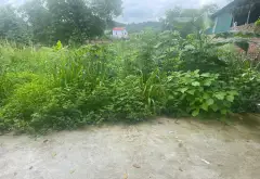 Đất nền siêu HOT tại Phù Linh – Lô góc mặt tiền rộng, ô tô tránh... Bán đất tại Sóc Sơn, Hà Nội 01