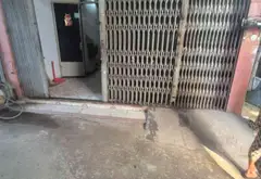 Cơ hội HIẾM CÓ sở hữu nhà cấp 4 rộng rãi tại xã Hóc Môn, giá cực tốt... Bán nhà riêng tại Hóc Môn, Hồ Chí Minh 03