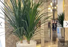 Căn góc mặt tiền đường Trường Sa - Cơ hội đầu tư đỉnh cao với doanh thu 2,5 tỷ/năm... Bán nhà mặt phố tại Phú Nhuận, Hồ Chí Minh 06