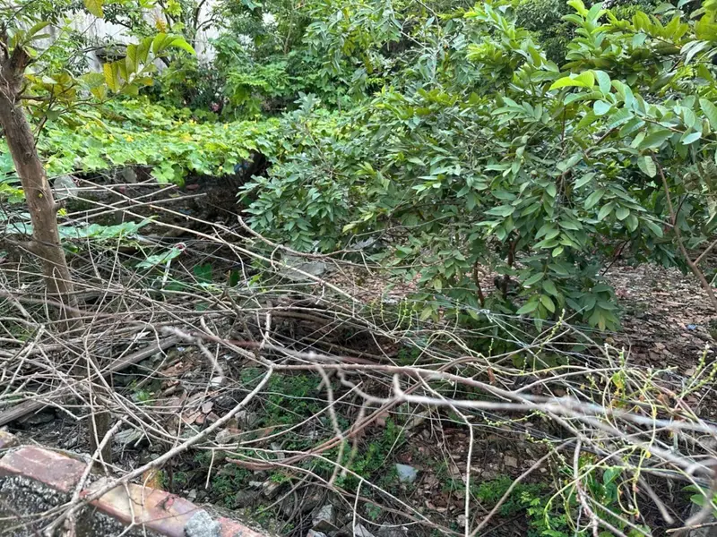 Cơ hội sở hữu mảnh đất hiếm ngay tại vị trí đắc địa... Bán đất tại Quế Võ, Bắc Ninh 01