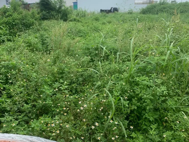 Đất nền thôn 5 Thủy Sơn hướng Đông Nam phù hợp đầu tư và an cư... Bán đất tại Thủy Nguyên, Hải Phòng 01