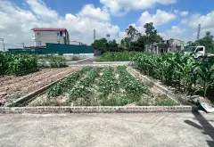 Bán đất phân lô xã Đại Đồng, Hưng Yên, lô góc hai mặt tiền, phù hợp đầu tư 60m giá 1.45 tỷ... Bán đất tại Đại Đồng, Hưng Yên 04