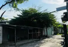 Bán đất 487m2 tại Bình Chánh, giá 12 tỷ, hướng Bắc... Bán đất tại Vĩnh Lộc, Hồ Chí Minh 03