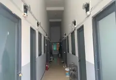 Căn hộ dịch vụ Quang Trung, 281m², 6 tầng, hẻm ô tô, dòng tiền cao, giá tốt 28 tỷ... Bán nhà riêng tại Thông Tây Hội, Hồ Chí Minh 05