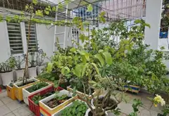 Siêu phẩm nhà mặt phố Tân Bình, 6 tầng nội thất cực xịn... Bán nhà mặt phố tại Tân Bình, Hồ Chí Minh 12