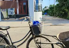 Lô đất vuông vắn mặt tiền rộng tại thôn Quán Trang, An Lão, Hải Phòng... Bán đất tại An Lão, Hải Phòng 03