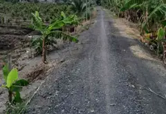Bán đất 1000m2 mặt tiền 11m tại xã Bình Lợi, Bình Chánh giá 3 tỷ... Bán đất tại Bình Lợi, Hồ Chí Minh 07