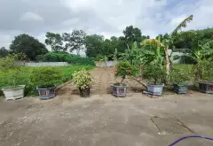 Bán đất vuông vắn mặt tiền 5m tại Phùng Dị, Ngọc Xá... Bán đất tại Quế Võ, Bắc Ninh 06