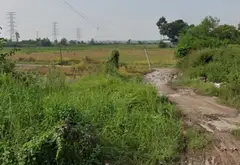 Bán đất mặt tiền rộng 60m tại xã Tân Phú Trung, Củ Chi... Bán đất tại Củ Chi, Hồ Chí Minh 03