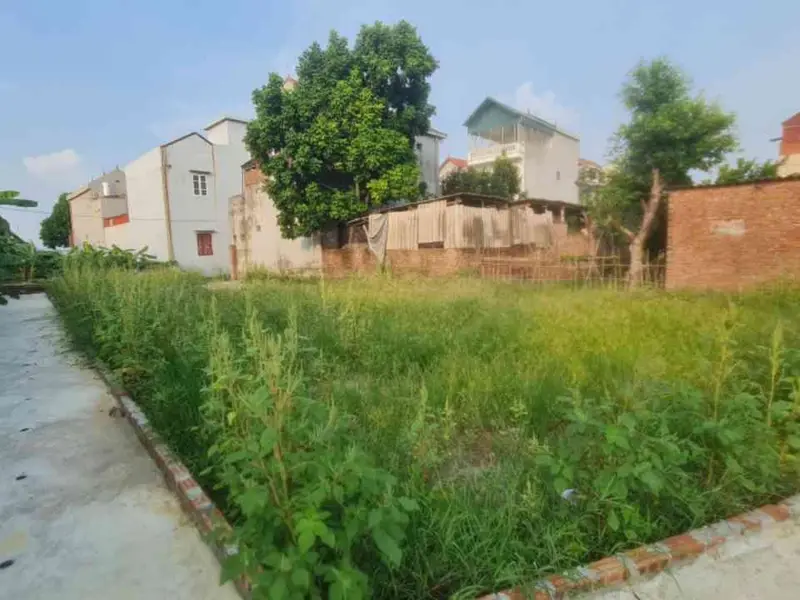 Bán lô đất 62.3 m² tại phường An Bình, gần khu công nghiệp Thuận Thành... Bán đất tại Mão Điền, Bắc Ninh 01