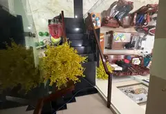 Bán nhà 4 tầng 50m2 tại Bình Tân, giá 6.5 tỷ... Bán nhà riêng tại Bình Hưng Hòa, Hồ Chí Minh 08