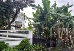 Bán đất tuyến 2 Tràng Cát – vị trí vàng, tiềm năng sinh lời cao... Bán đất tại Hải An, Hải Phòng 01
