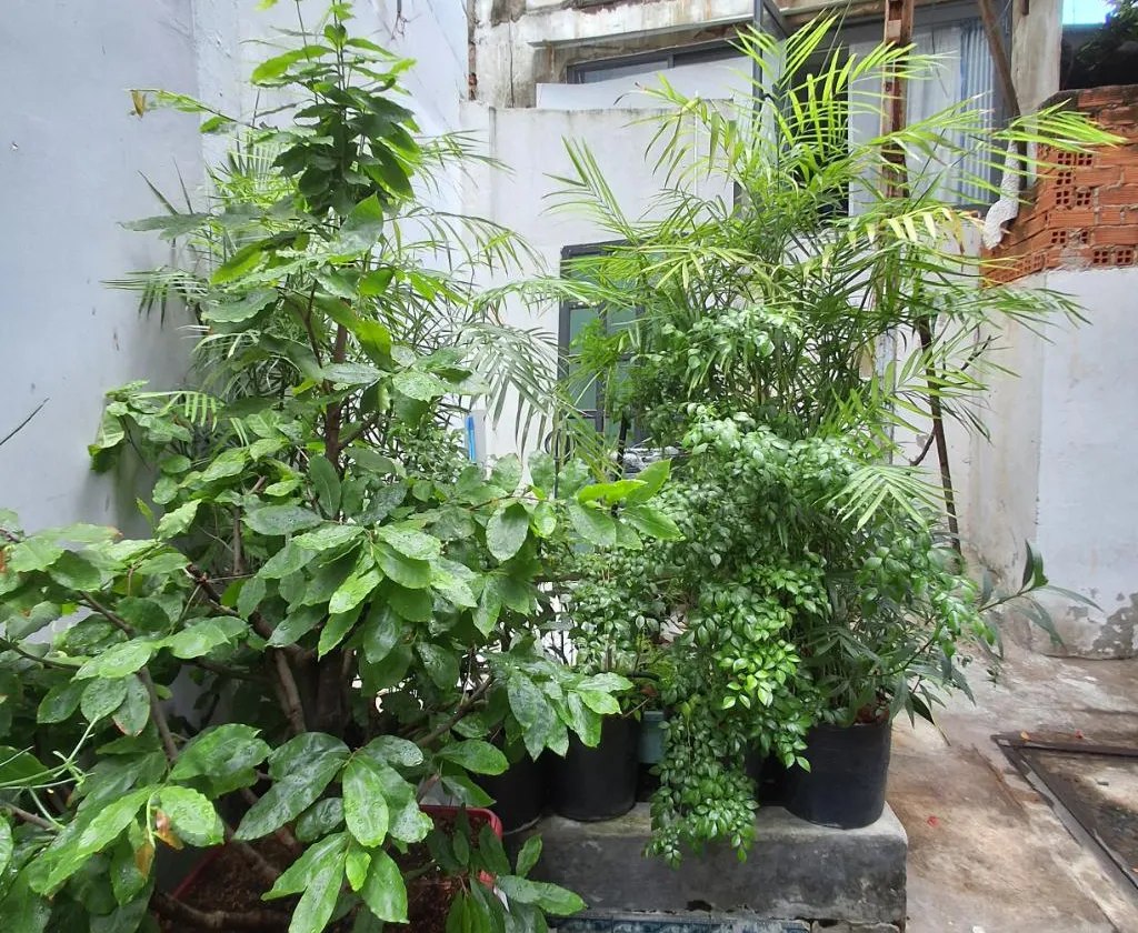 Nhà 4 Tầng Hẻm Ô Tô Sát Mặt Tiền Điện Biên Phủ Quận 10... Bán nhà riêng tại Hòa Hưng, Hồ Chí Minh 01