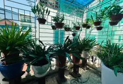 Bán nhà diện tích 123... Bán biệt thự, liền kề tại Đan Phượng, Hà Nội 09