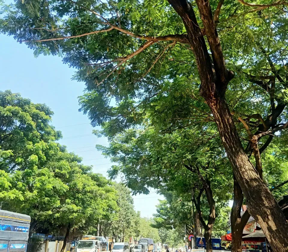 🌺 3TẦNG THỚI AN_ XE 🚗 NGỦ NGON _ DT ĐẸP 4 x24m. NHỈNH 5 Đ. Xách Vali vào ở ngay.... Bán nhà riêng tại Thới An, Hồ Chí Minh 01