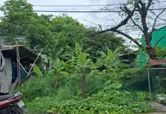 Bán đất mặt tiền rộng 11.2m tại xã Tây An Hội, huyện Củ Chi, diện tích 457m²... Bán đất tại Tân An Hội, Hồ Chí Minh 05
