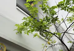 Nhà Phường Nhiêu Lộc, Quận 3 - Vị trí vàng, tiện nghi đầy đủ... Bán nhà riêng tại Nhiêu Lộc, Hồ Chí Minh 01