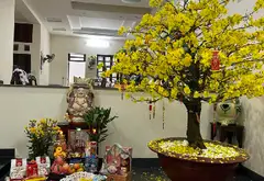 Nhà đẹp hẻm xe hơi Trường Chinh, giá tốt xịn... Bán owner_side tại Tân Bình, Hồ Chí Minh 03