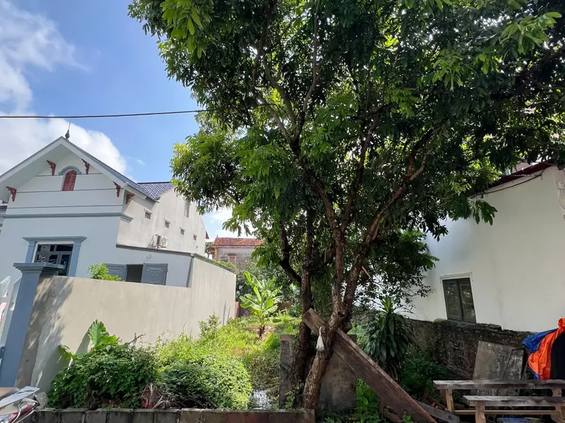 🔥 BÁN ĐẤT BẰNG NHA MỄ SỞ – HƯNG YÊN | 125M² – MT 7M – TRỤC CHÍNH KINH DOANH - ĐƯỜNG 8M Ô TÔ TRÁNH... Bán đất tại Mễ Sở, Hưng Yên 01