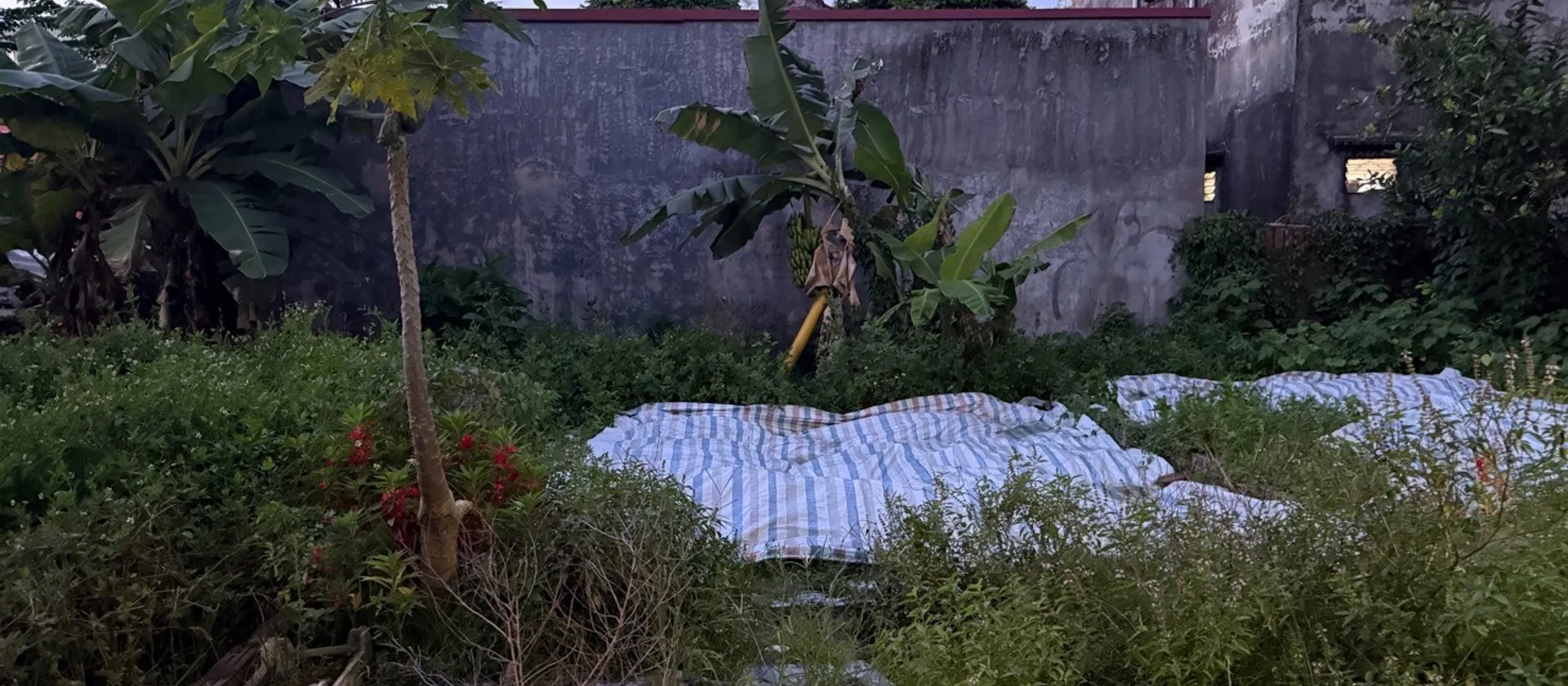 Bán đất Phúc Lợi vị trí trung tâm, đất vuông đẹp, gần Vinhomes Riverside... Bán đất tại Phúc Lợi, Hà Nội 01