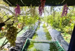 Nhà vườn rộng 1092m2 - Giá thương lượng tại Xuân Thới Sơn... Bán nhà riêng tại Xuân Thới Sơn, Hồ Chí Minh 04