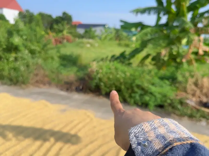 Cơ hội hiếm có sở hữu đất đấu giá rộng rãi tại Ân Thi, Hưng Yên... Bán đất tại Ân Thi, Hưng Yên 01