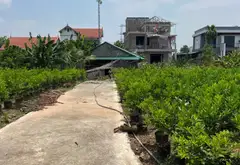 TÔI BÁN LÔ ĐẤT TẠI THÔN QUÁN TRẠCH AB LIÊN NGHĨA VĂN GIANG ÔTÔ ĐỖ CỔNG CÁCH TRỤC CHÍNH ÔTÔ TRÁNH 30... Bán đất tại Văn Giang, Hưng Yên 05