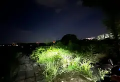 Bán đất phân lô lô góc 81m² tại phường Vạn An, Bắc Ninh... Bán đất tại Kinh Bắc, Bắc Ninh 01