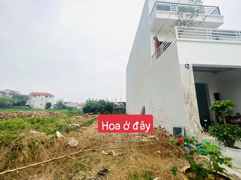 Bán đất mặt tiền 5m khu đấu giá Giếng Đồng, Sóc Sơn, pháp lý sổ đỏ... Bán đất tại Sóc Sơn, Hà Nội 01