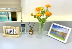 Bán nhà Cổng Đồng 7 tầng, 50m2 vỉa hè oto kinh doanh có thang máy tại quận Hà Đông... Bán biệt thự, liền kề tại Dương Nội, Hà Nội 09