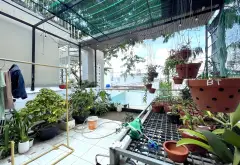 Bán nhà 3 tầng 75m2 gần Aeon Mall Tân Phú, hẻm xe tải, giá 6.8 tỷ... Bán nhà riêng tại Bình Hưng Hòa, Hồ Chí Minh 10