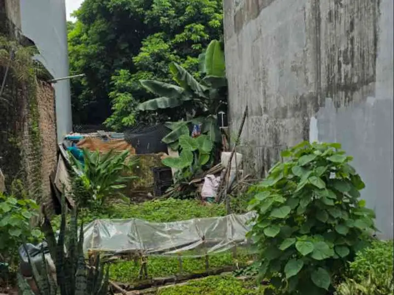 Bán đất vị trí giao thông thuận tiện gần bệnh viện lớn... Bán đất tại Sơn Đồng, Hà Nội 01