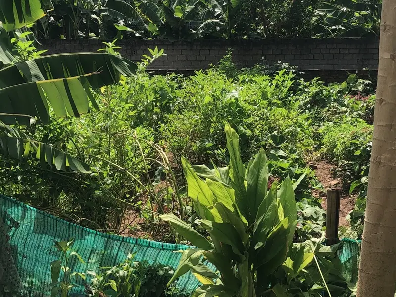 Đất Hiếm 2 Mặt Ngõ ô Tô Đỗ Cửa, Lợi Nhuận Đầu Tư Tại Yên Nghĩa... Bán đất tại Yên Nghĩa, Hà Nội 01
