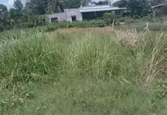 Bán đất mặt tiền đường lớn tại phường Tân An Hội, Củ Chi... Bán đất tại Tân An Hội, Hồ Chí Minh 02