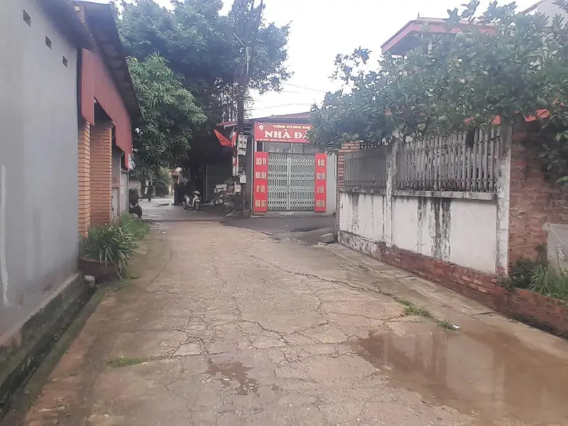Bán đất chính chủ mặt tiền 5m xã Đình Trung, trục chính kinh doanh sầm uất... Bán owner_side tại Phúc Thịnh, Hà Nội 01