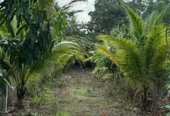Bán đất 200m2 tại Phường Long Phước, Quận 9, TP HCM giá 4.49 tỷ... Bán đất tại Long Phước, Hồ Chí Minh 07