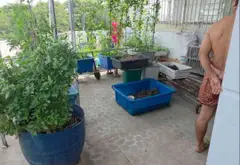 Nhà góc view cực đẹp ngay Tên Lửa, 4 tầng sang chảnh... Bán nhà mặt phố tại An Lạc, Hồ Chí Minh 17