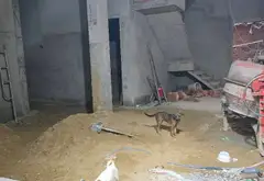 Gà đẻ trứng vàng Tân Phú: 30 CHDV thu 100tr/tháng, Tân Sơn Nhì, hẻm ô tô!... Bán owner_side tại Tân Sơn Nhì, Hồ Chí Minh 02