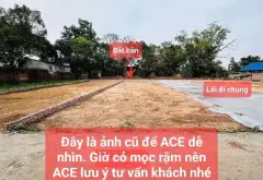 Bán đất 100m2 tại xã Hồng Kỳ, giá 1.38 tỷ, ô tô vào đất... Bán đất tại Trung Giã, Hà Nội 02